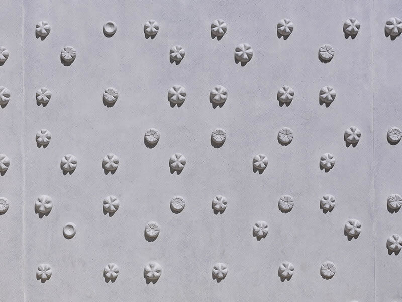 Blüten aus Beton - Beton.org